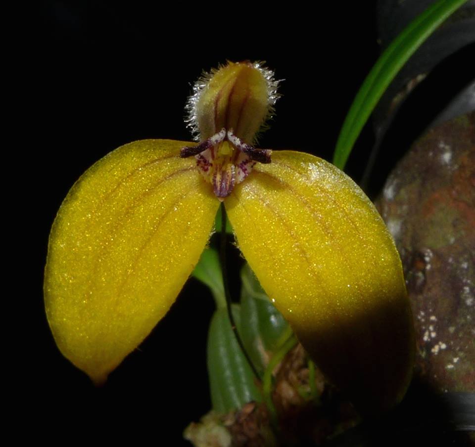 TÌNH YÊU LAN 2 - Page 60 Spc_000183174_000025469