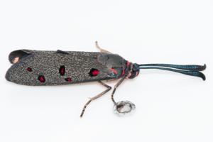 utils/thumbs/Zygaenidae/Neurosymploca_LykrNLnr3ZF7VpkspqYsK8.jpg