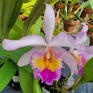 Marcchristopherstormara Memoria John Storm