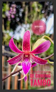 <i>Dendrobium</i> De Gunung Tambo