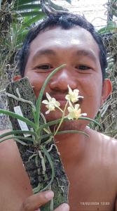 Paravanda Ong Siew Hong