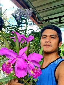 Cattleya lueddemanniana